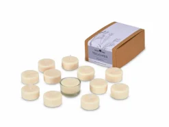 Grüne Erde 12 Teelichter aus Rapswachs, ohne Duft, 1 Glaseinsatz