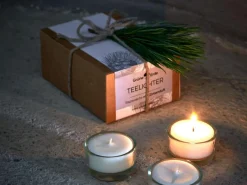 Grüne Erde 12 Teelichter aus Rapswachs, ohne Duft, 1 Glaseinsatz