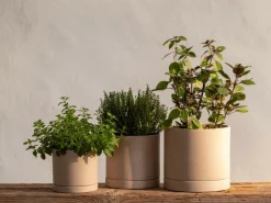 Grüne Erde Blumentopf aus Steingut, natur, 17,5 x 16,5 cm