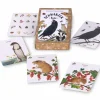 Grüne Erde Kartenspiel - Schwarzer Rabe, 15 Tierfamilien