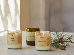 Grüne Erde Natürliche Rapswachskerze ZUHAUSE im rezyklierten Glas, Baumwolldocht, 325 ml, H 9,5 cm, ø 8,5 cm