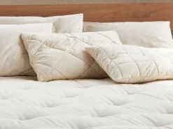 Grüne Erde Schlafkissen Baumwolle kbA, Hirse kbA, Standard, 40 x 60 cm, GOTS, NATURTEXTIL-BEST, VEGAN