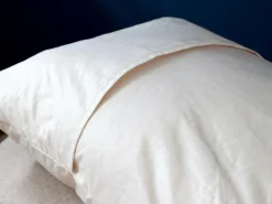 Grüne Erde Schlafkissen mit feiner Schafschurwolle, 40 x 60 cm, GOTS, NATURTEXTIL BEST